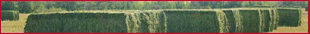 Hay bales, bale at higher moisture levels with AGCO buffered acid hay preservative