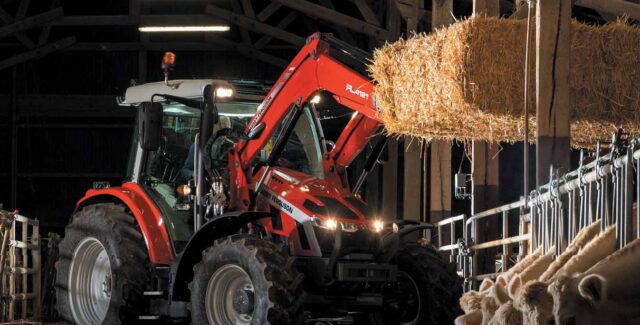 Massey Ferguson 5S Tractor in barn feeding bale of hay to cattle