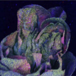 magrowtec foliage coverage example