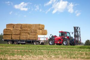 Weidemann T7042 telehandler loading stacked straw bales onto trailer in hay field — high-lift farm telehandler for bale transport