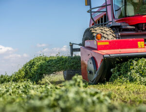 Massey Ferguson WR series triple windrow attachment