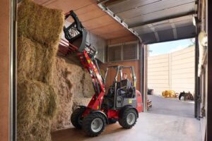 Weidemann 1160 compact wheel loader stacking hay bales inside a barn with high lift reach.