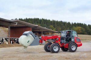 Weidemann 3080T wheel loader transporting a wrapped hay bale on a farm, ideal for cattle and agricultural operations.