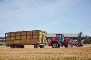 A red Weidemann 9080 wheel loader pulls a long trailer loaded with large square hay bales across a harvested field with buildings in the background.