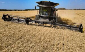 Truflex razor 35ft geringhoff header