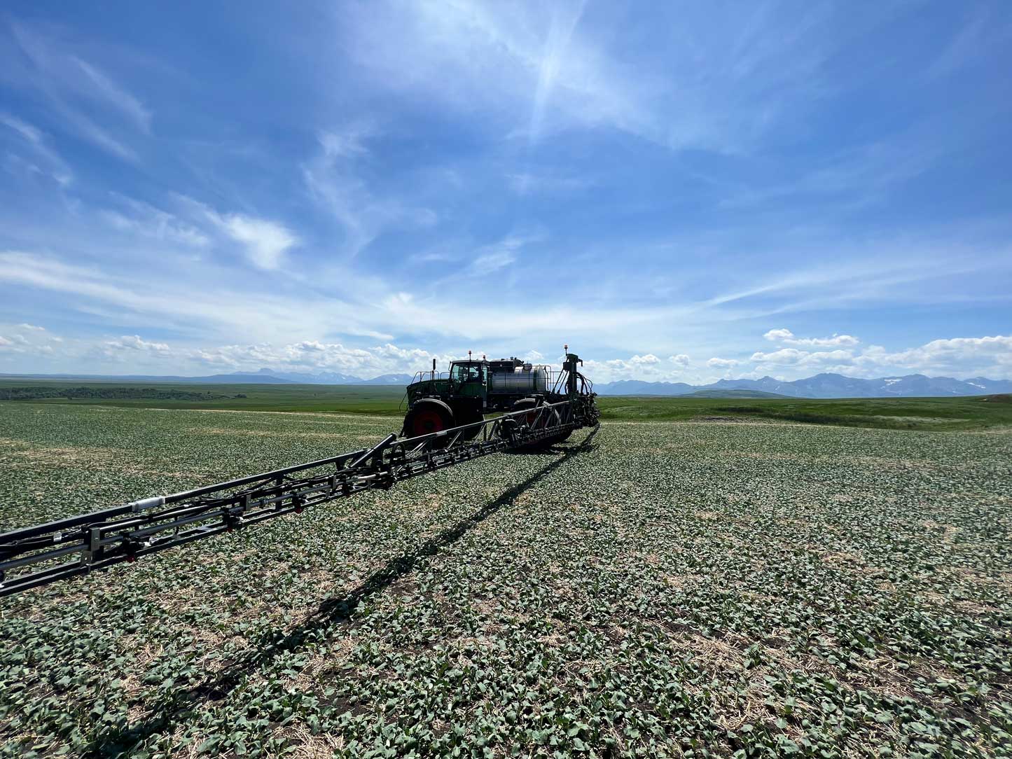Fendt Rogator 937 series sprayer operating in a canola field under a blue sky with the Rocky Mountains in the background near Southern Alberta.