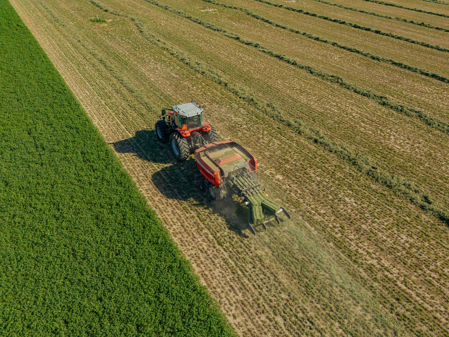 Massey Ferguson SB1436DB small square baler.