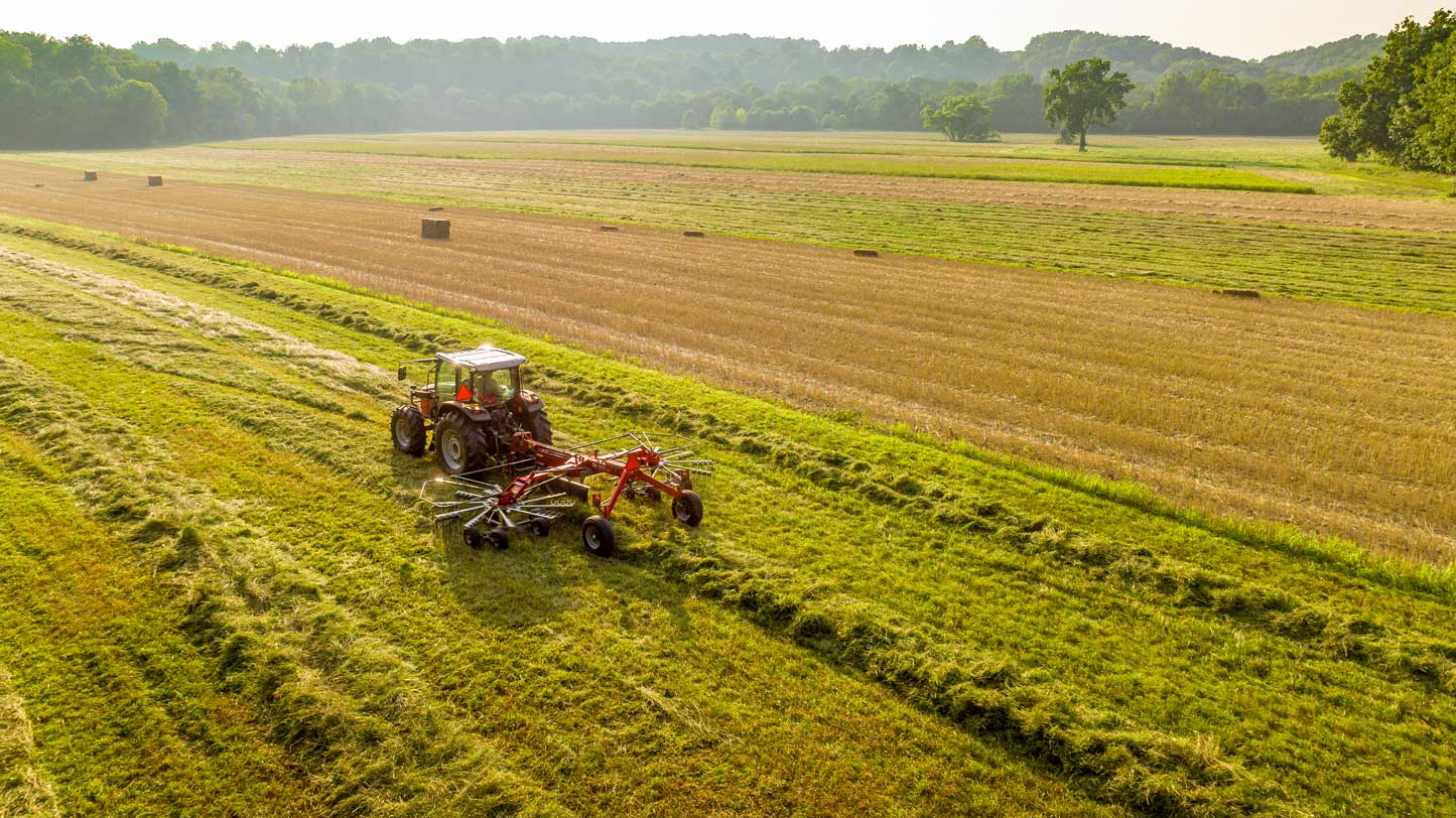 Massey Ferguson rotary rake in action behind a tractor, forming windrows in a lush green hay field during harvest season.