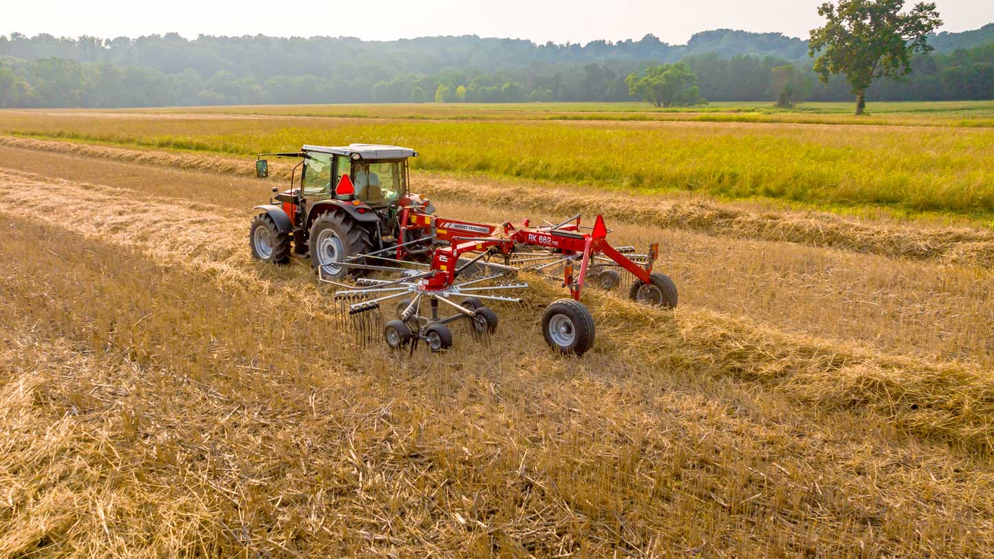 Massey Ferguson RK 662 rotary rake operating in a dry stubble field, creating uniform windrows for baling.
