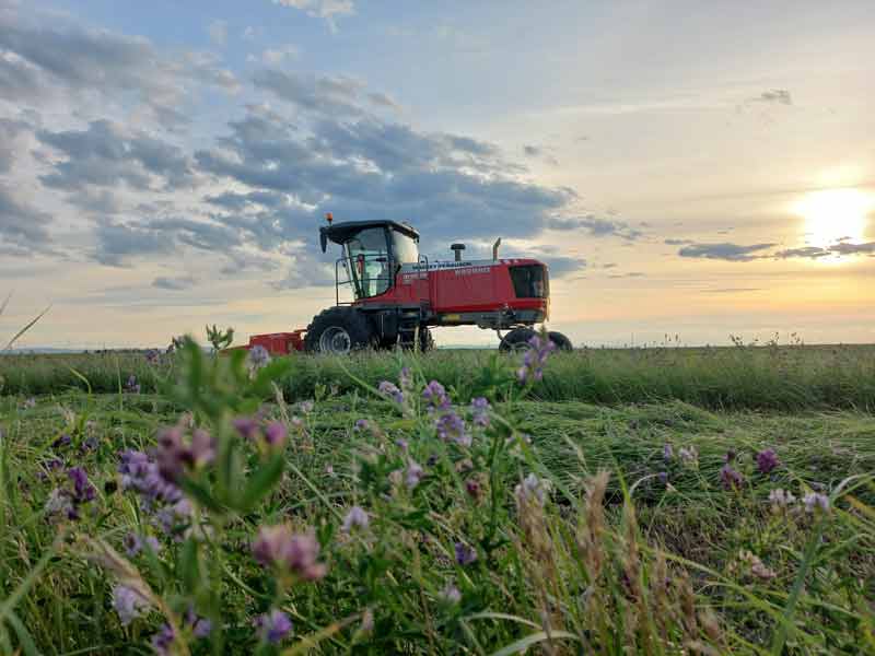 nathan van de bruinhorst vos hay farms with a massey ferguson wr9980